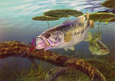 bass-fishing-prints.jpg